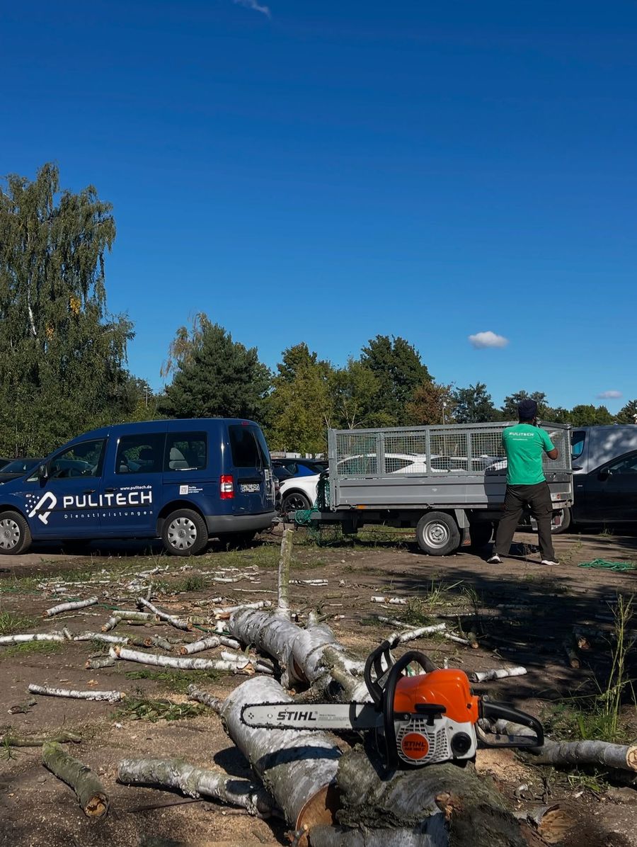 Pulitech Entsorgung, Abtransport von Baumschnitt vor Ort